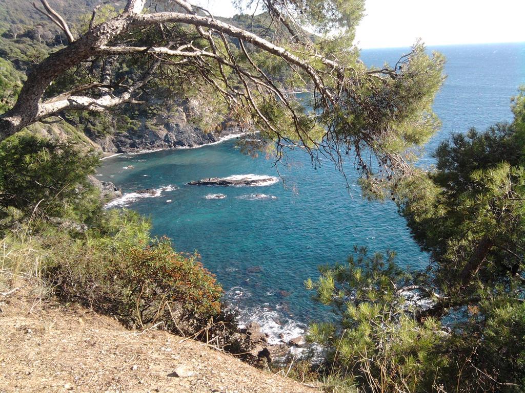 La Petite Maison De Melanie 30M Mer Six-Fours-les-Plages Exteriér fotografie