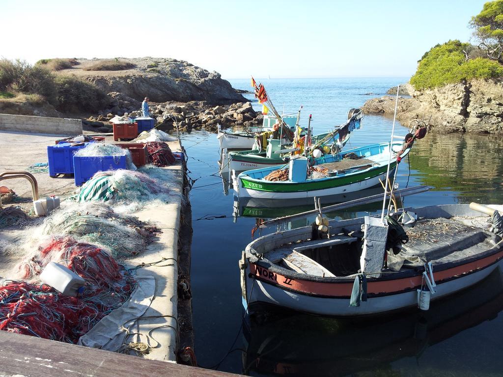 La Petite Maison De Melanie 30M Mer Six-Fours-les-Plages Exteriér fotografie