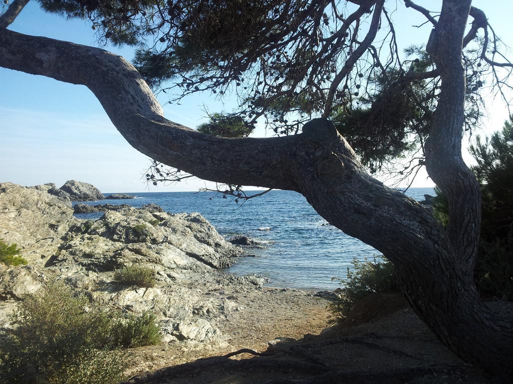 La Petite Maison De Melanie 30M Mer Six-Fours-les-Plages Exteriér fotografie